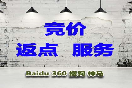 竞价推广SEM托管成功案例：从零到一的突破